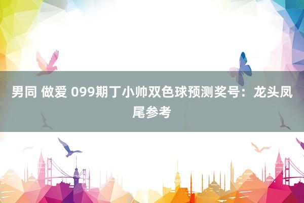 男同 做爱 099期丁小帅双色球预测奖号：龙头凤尾参考