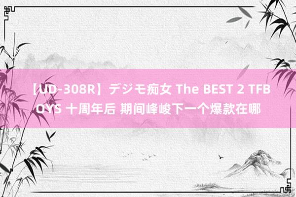 【UD-308R】デジモ痴女 The BEST 2 TFBOYS 十周年后 期间峰峻下一个爆款在哪