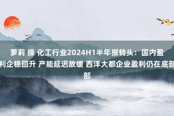 萝莉 操 化工行业2024H1半年报转头：国内盈利企稳回升 产能延迟放缓 西洋大都企业盈利仍在底部