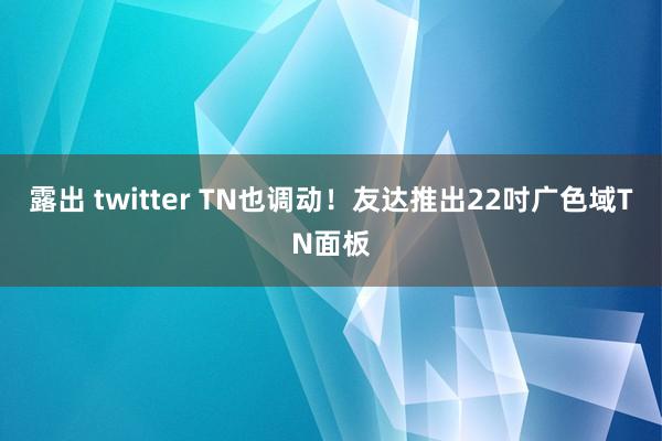 露出 twitter TN也调动！友达推出22吋广色域TN面板